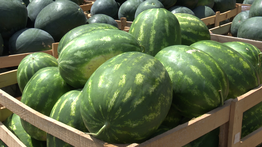 Poljoprivrednici gube: Roba tri puta jeftinija nego u marketima