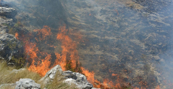 Požarišne tačke na području Trebinja su danas pod kontrolom