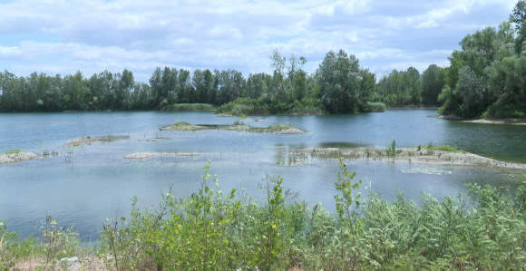 U Drini kod Bijeljine se utopila žena iz Novog Sada