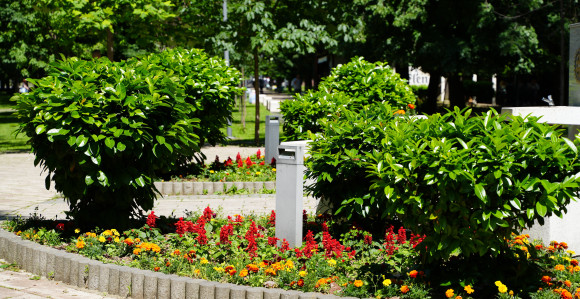 Afrička vrelina u Srpskoj, temperature i do 41 stepen