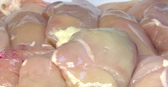 EU ovo meso daje kućnim ljubimcima, a mi ga jedemo