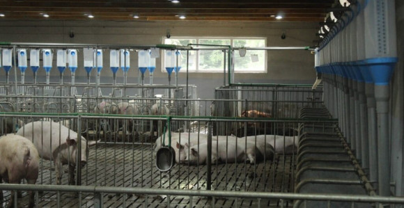 Imovina propale srbačke firme na dobošu za milion KM