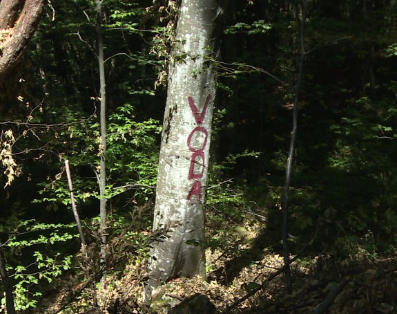 Брука у 21. вијеку: Села код Власенице се боре за воду!