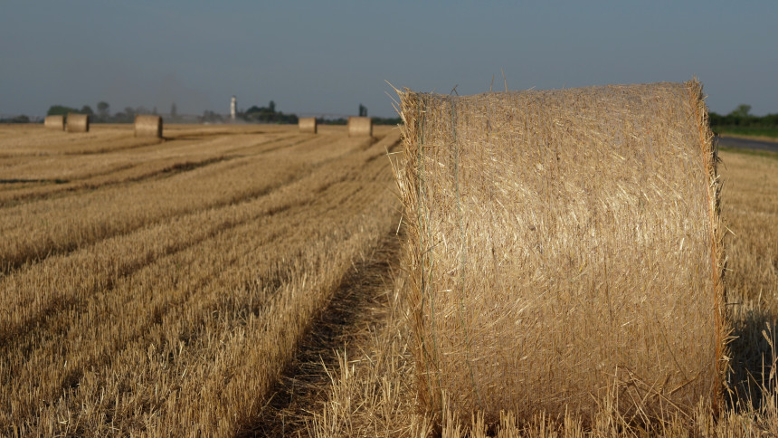 Sutra još jedan tropski dan, tokom noći stiže kiša
