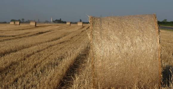 Sutra još jedan tropski dan, tokom noći stiže kiša