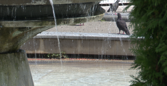 U drugom dijelu dana pljuskovi, lokalno moguće nepogode