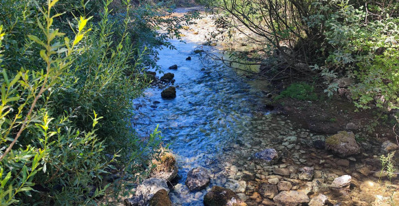 Berkovići bez vode, ako ne reaguju nadležni - protesti