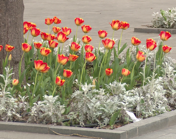 Kada nam se vraćaju visoke temperature i tropske noći?