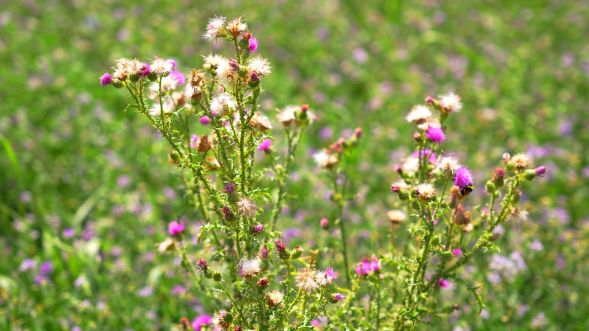 Danas nestabilno, pljuskovi, grmljavina i jaki udari vjetra