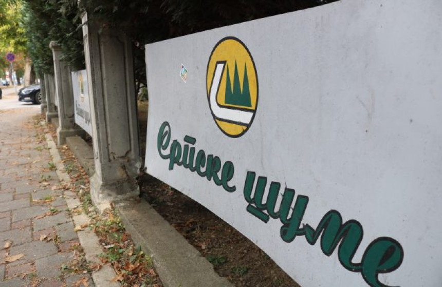 Губици у Шумама РС посљедица су дугогодишње пљачке