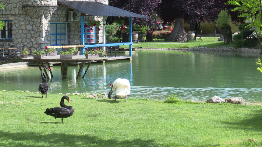 Pakleno: Da li je pred nama najtoplija sedmica ovog ljeta?
