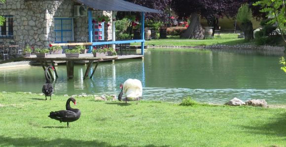 Pakleno: Da li je pred nama najtoplija sedmica ovog ljeta?