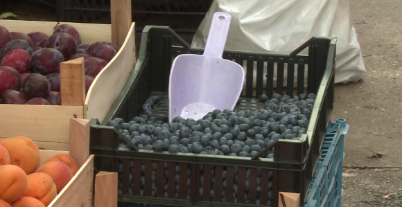 Kilogram borovnica košta koliko i osam hljebova