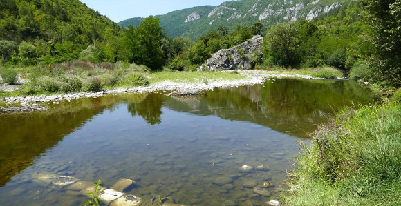 Кakva pjena plovi vodom Crnog Rzava kod Vardišta?