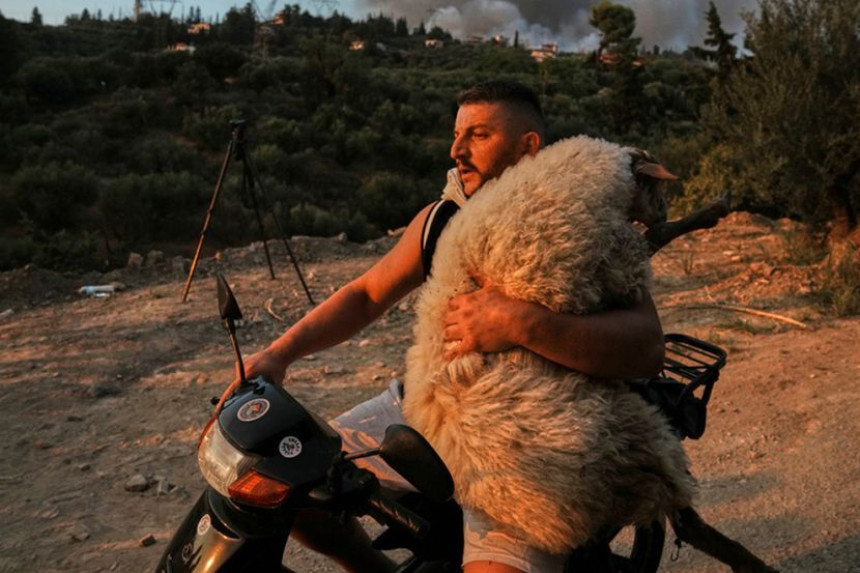 Dirljiva fotografija koja je obišla svijet (FOTO/VIDEO)