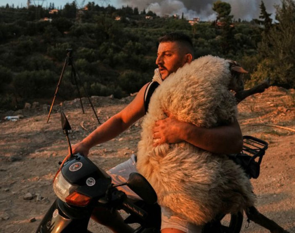 Dirljiva fotografija koja je obišla svijet (FOTO/VIDEO)