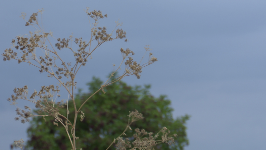 Snažno nevrijeme pogodilo jug Republike Srpske