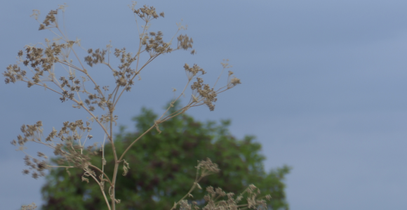 Snažno nevrijeme pogodilo jug Republike Srpske