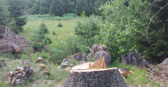 Štrajk radnika ŠG "Čemernica", traže plate i regres