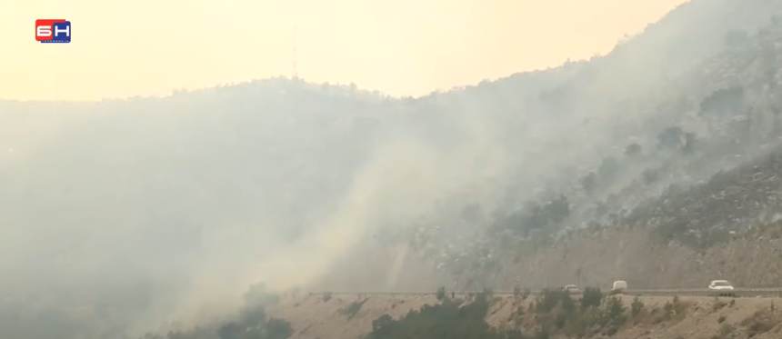 Požar kod Neuma se nekontrolisano širi, stradale životinje