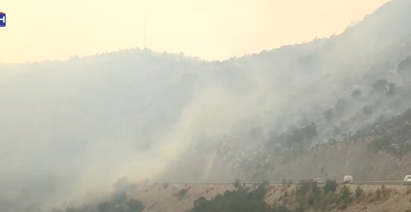 Požar kod Neuma se nekontrolisano širi, stradale životinje