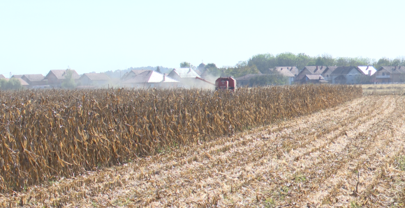 Minić u avgustu ove isplatio podsticaje iz prošle godine