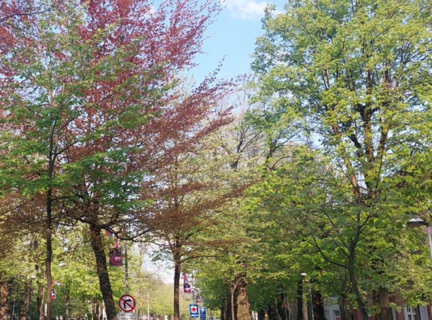 Pretežno sunčano i vrlo toplo vrijeme, danas do 36 stepeni