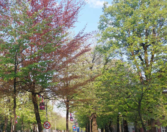 Pretežno sunčano i vrlo toplo vrijeme, danas do 36 stepeni