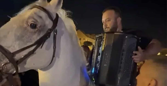 Borko Radivojević na jednoj svadbi se popeo na belog konja, pa zasvirao!