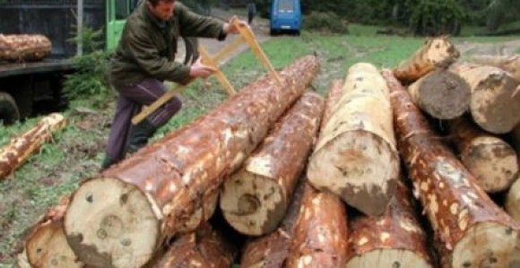 Minić objavio rat “šumskoj mafiji”!?