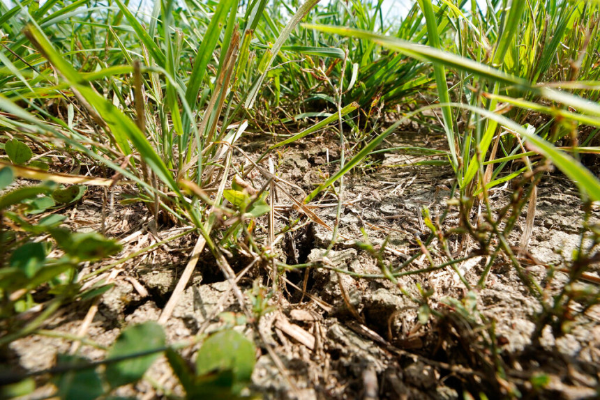 Ljetnje suše, toplotni talasi i poplave koštali EU 43 milijarde evra