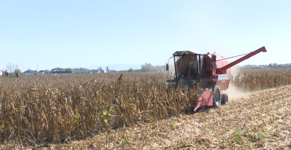 Vlada Srpske favorizuje samo podobne poljoprivrednike?!