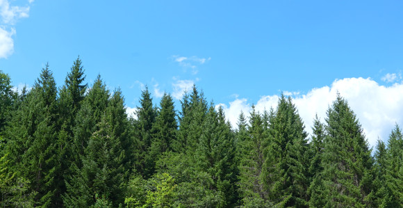 Sunčano i veoma toplo, prolazna oblačnost na sjeveru
