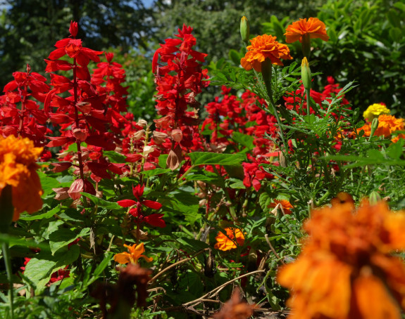 Danas pretežno sunčano, temperatura do 34 stepena