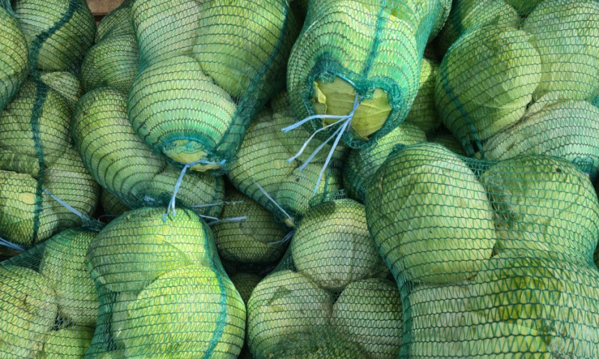 Jesenji kupus tri puta jeftiniji nego prošle godine