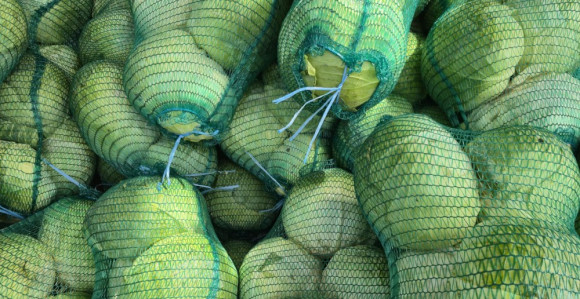 Jesenji kupus tri puta jeftiniji nego prošle godine