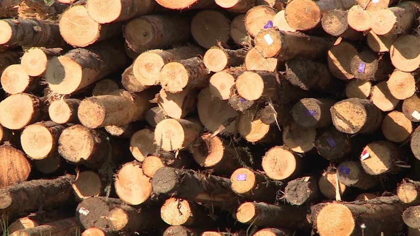 ŠG Čemernica izigrala penzionere za ogrevno drvo