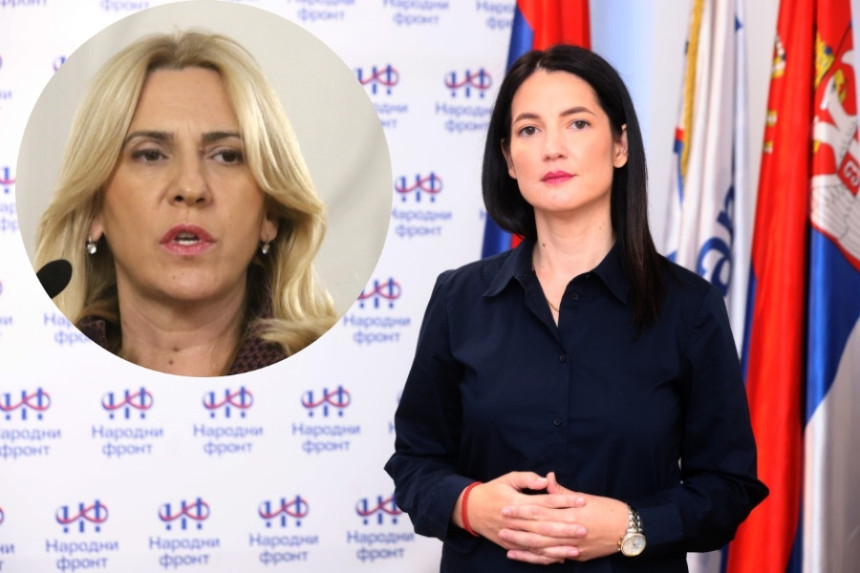 Željka je osovina grupacije unutar SNSD-a koja se protivi Igoru Dodiku