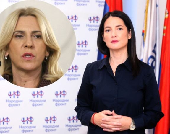 Željka je osovina grupacije unutar SNSD-a koja se protivi Igoru Dodiku