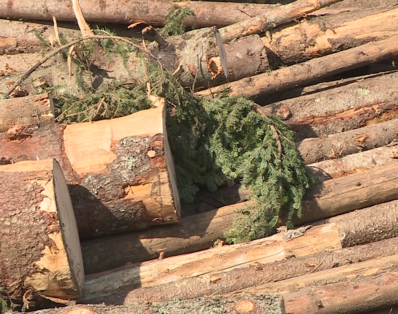 Srpskoj treba jak premijer, dosta je bilo "Radovana nejakih"