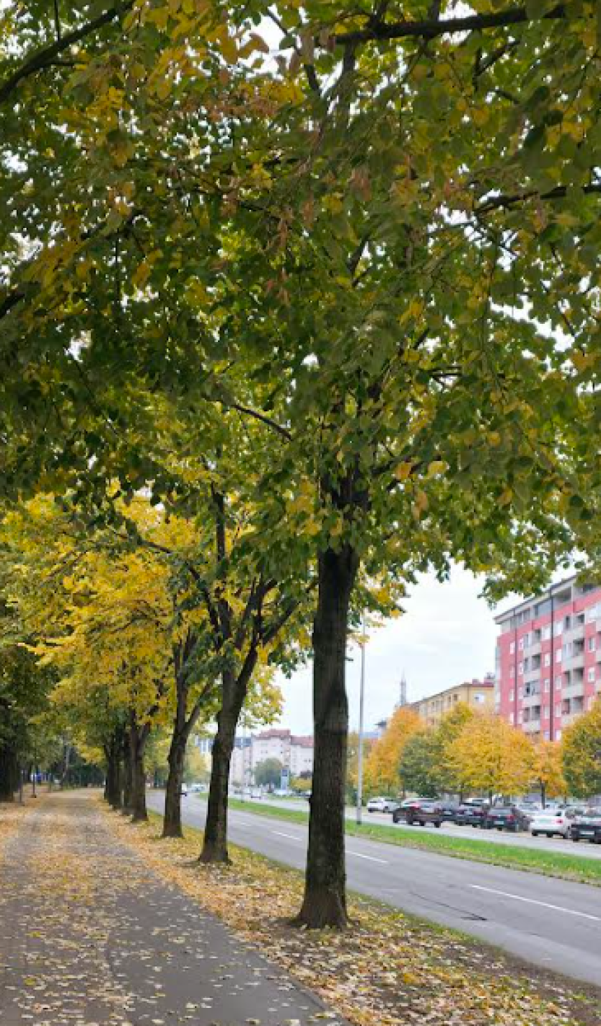 Meteorolozi za vikend prognoziraju oblačno vrijeme