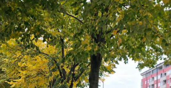 Метеоролози за викенд прогнозирају облачно вријеме