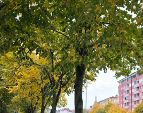 Meteorolozi za vikend prognoziraju oblačno vrijeme