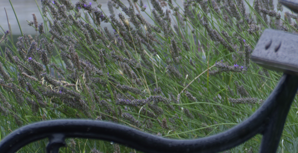 U popodnevnim satima naoblačenje sa zapada