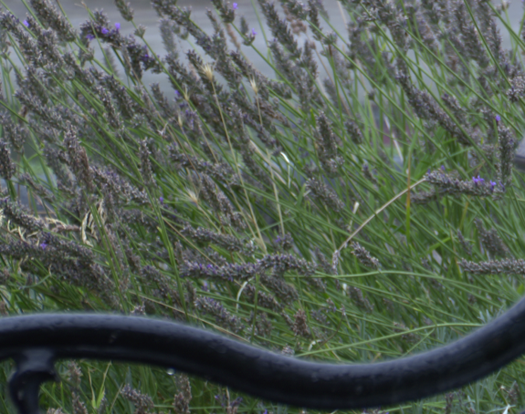 U popodnevnim satima naoblačenje sa zapada