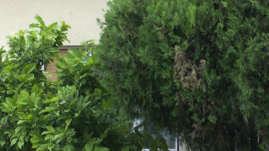 Danas oblačno i kišovito, lokalno jača kiša i pljuskovi