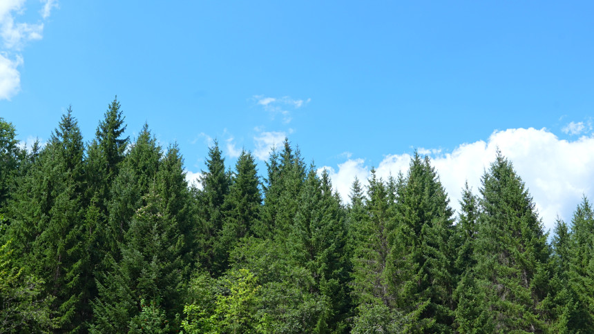 Sunčanije i malo toplije u odnosu na prethodne dane