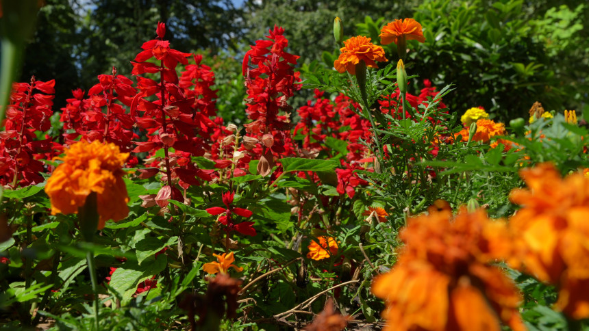 Pretežno sunčano i toplo vrijeme, temperatura do 24°C