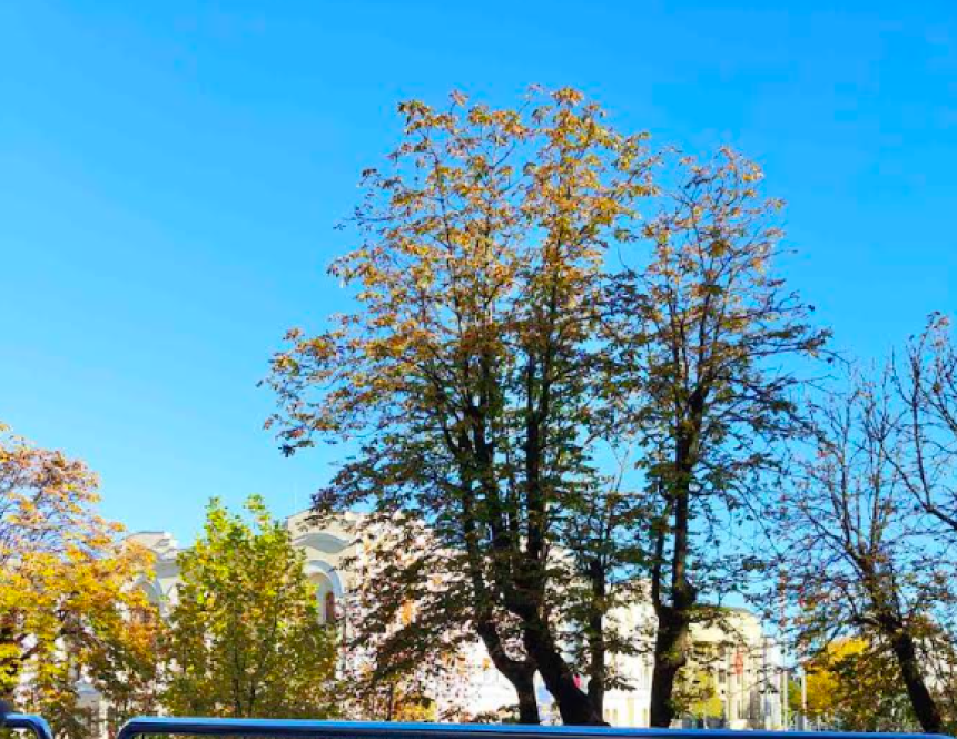 Pred nama sunčan vikend, temperatura do 24 stepena