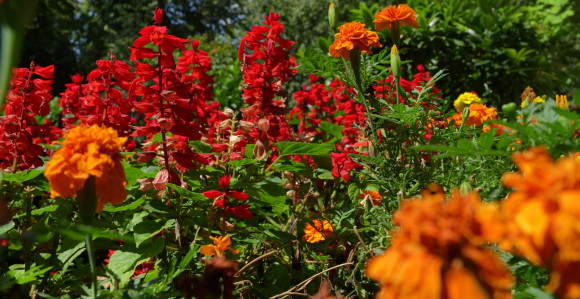 Pretežno sunčano i toplo vrijeme, temperatura do 24°C